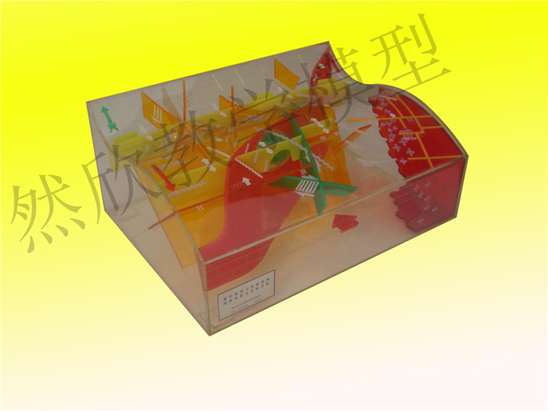 新華夏系與其他的構(gòu)造體系復(fù)合關(guān)系分析