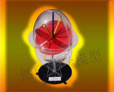 二軸晶負(fù)光性